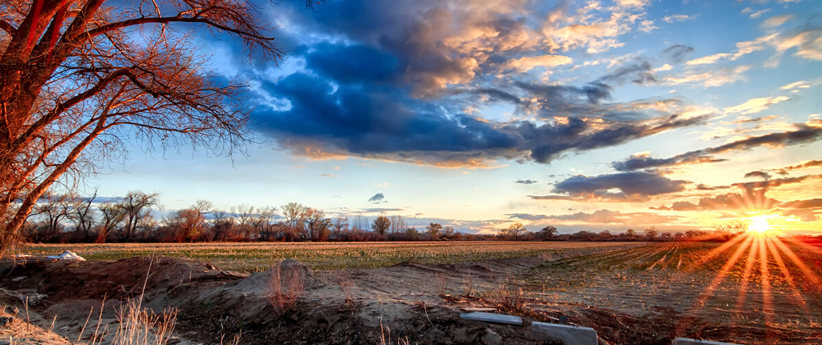 Banner image of Pahrump